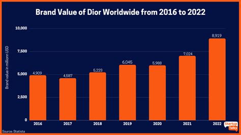 christian Dior market segmentation